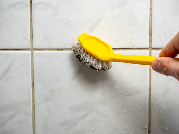 Best Residential Mold Removal  in Brown Station, MD