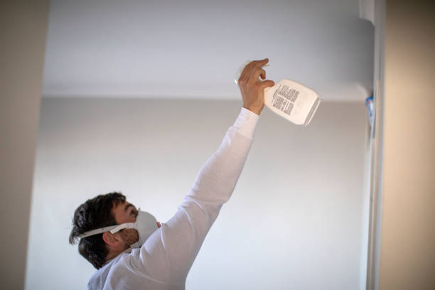 Best Best Mold Removal Companies  in Brown Station, MD