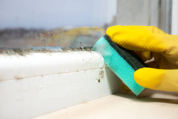Water Damage Restoration in Brown Station, MD